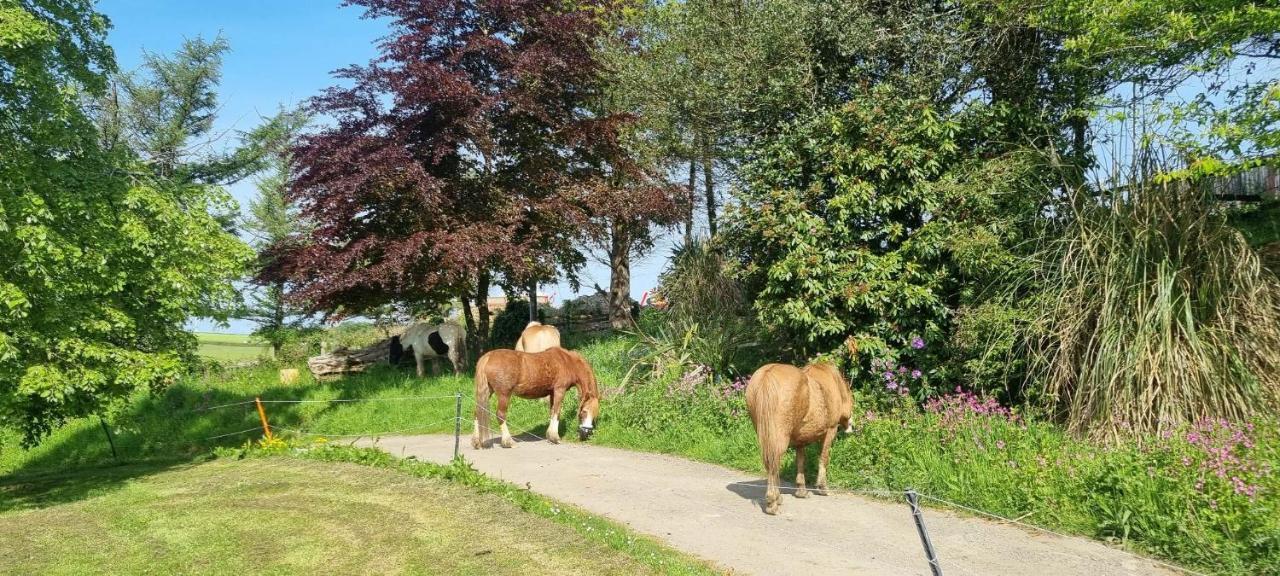 No 4 Trelawney Apartment - Onsite Bar - Restaurant - Horse Riding Menheniot Esterno foto