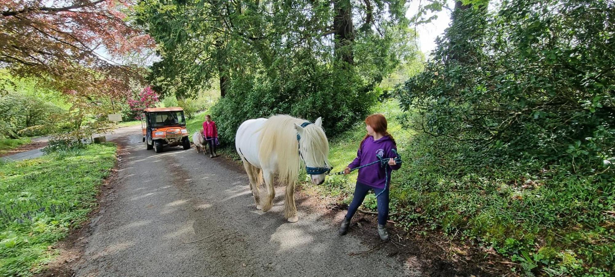 No 4 Trelawney Apartment - Onsite Bar - Restaurant - Horse Riding Menheniot Esterno foto