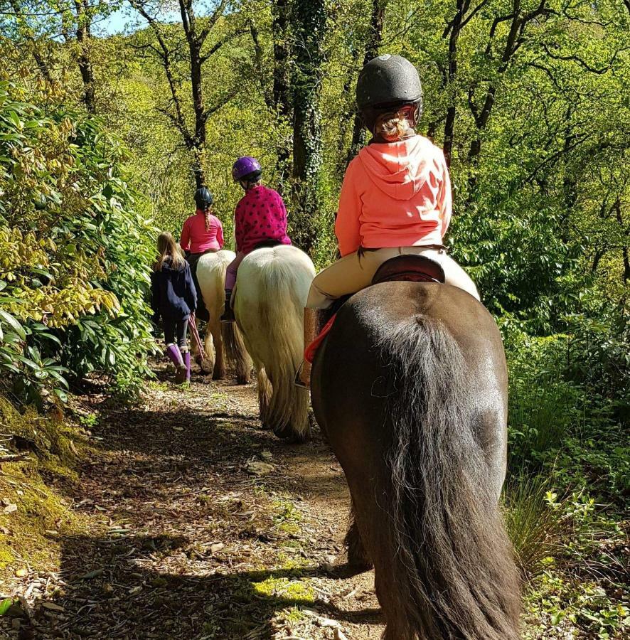 No 4 Trelawney Apartment - Onsite Bar - Restaurant - Horse Riding Menheniot Esterno foto